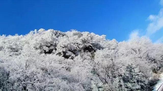 小猫钓鱼游戏龙王版有船