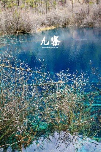周星驰要拍短剧了