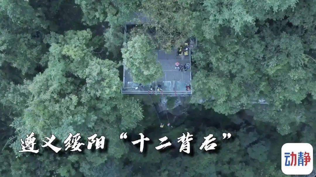 鸦片战争以来，清王朝先后发布过4次宣战诏书，你知道是哪4次吗？