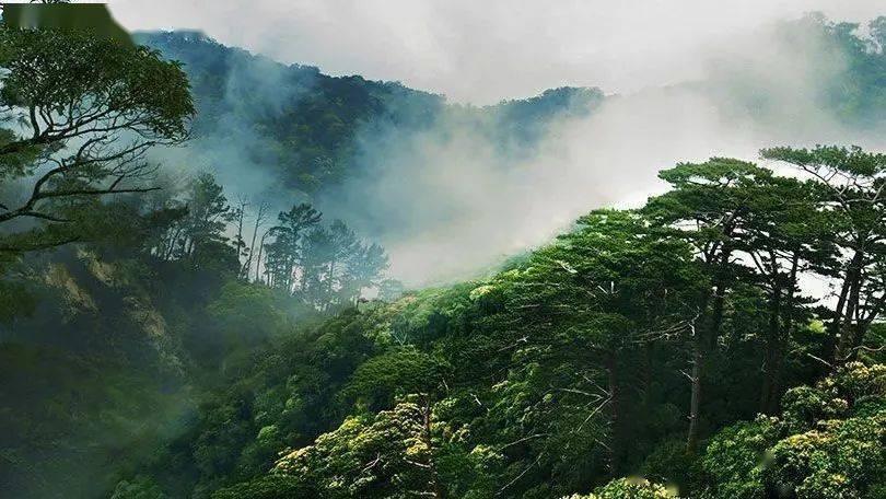 小猫钓鱼开船版最新版下载