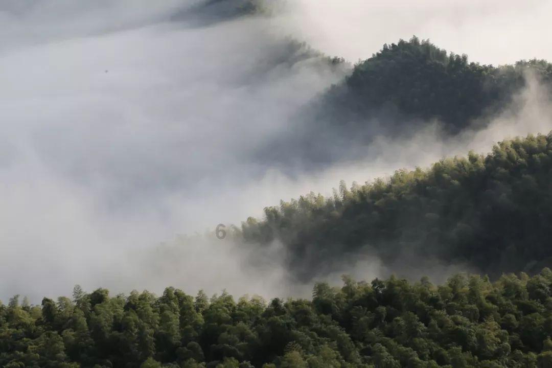 疫情的原因生意失败借了些钱,想把家里的金条拿去转卖变现还钱,东莞南城黄金