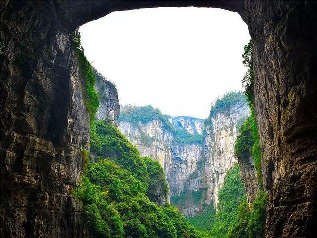 同为张河北张氏族人,张世杰为何不选择像张弘范一样投靠蒙元?