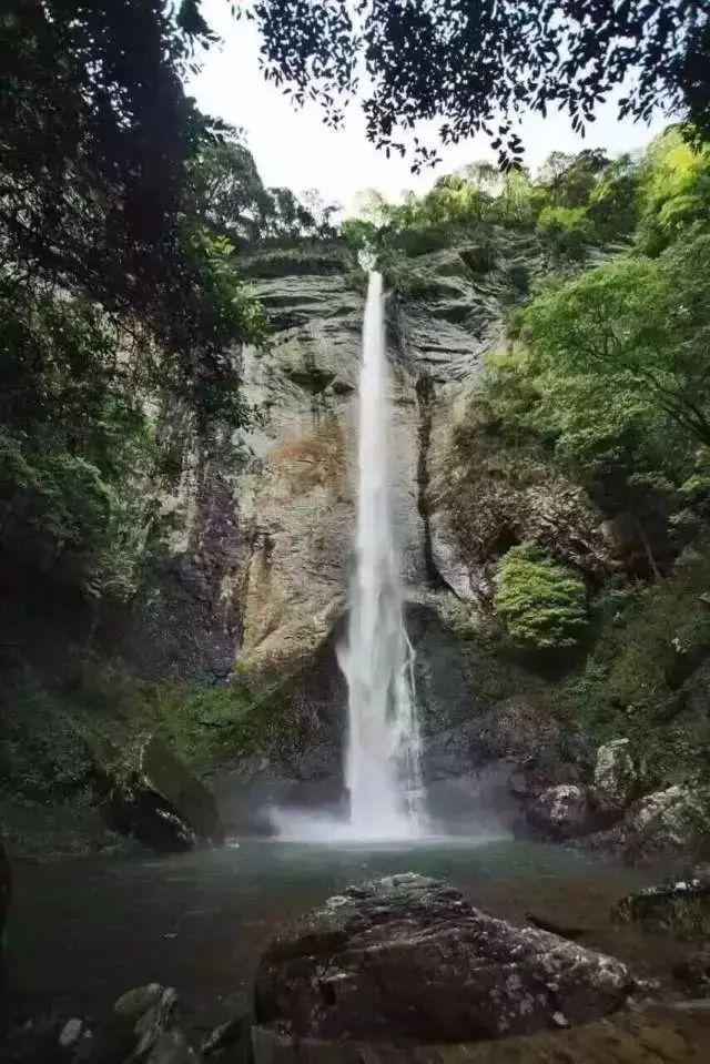 天启联盟