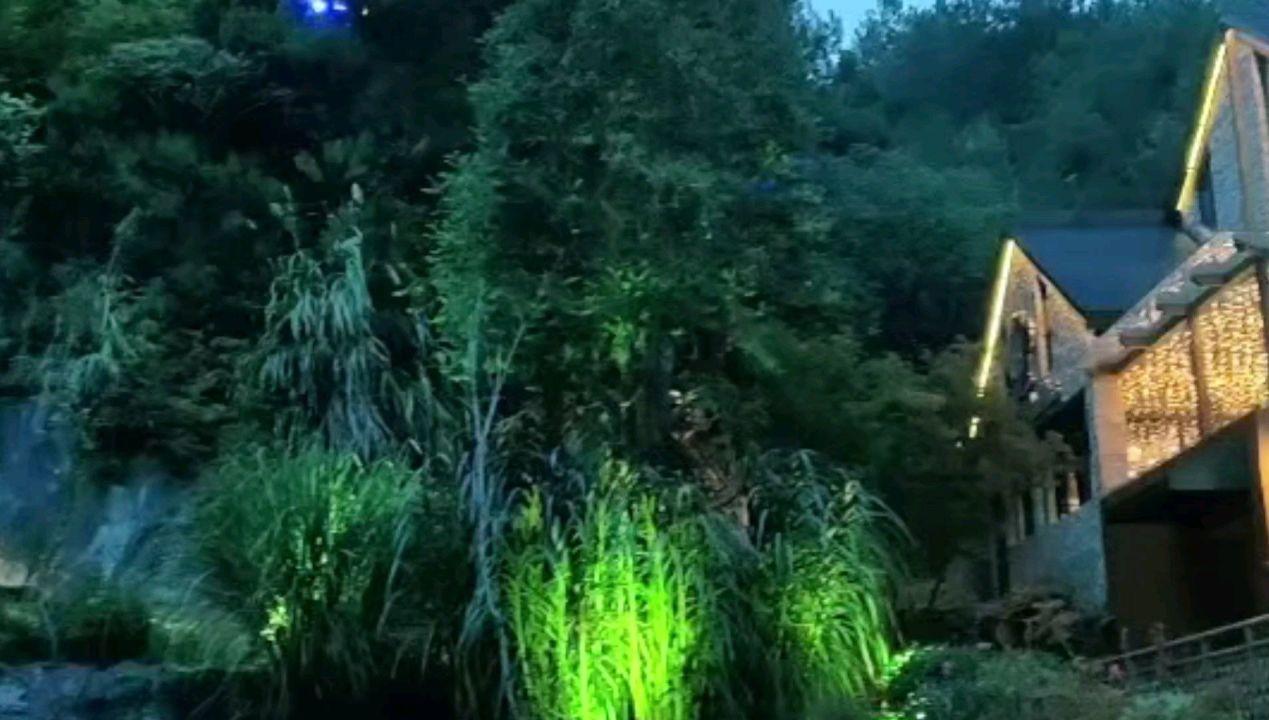 小猫钓鱼游戏龙王版有船